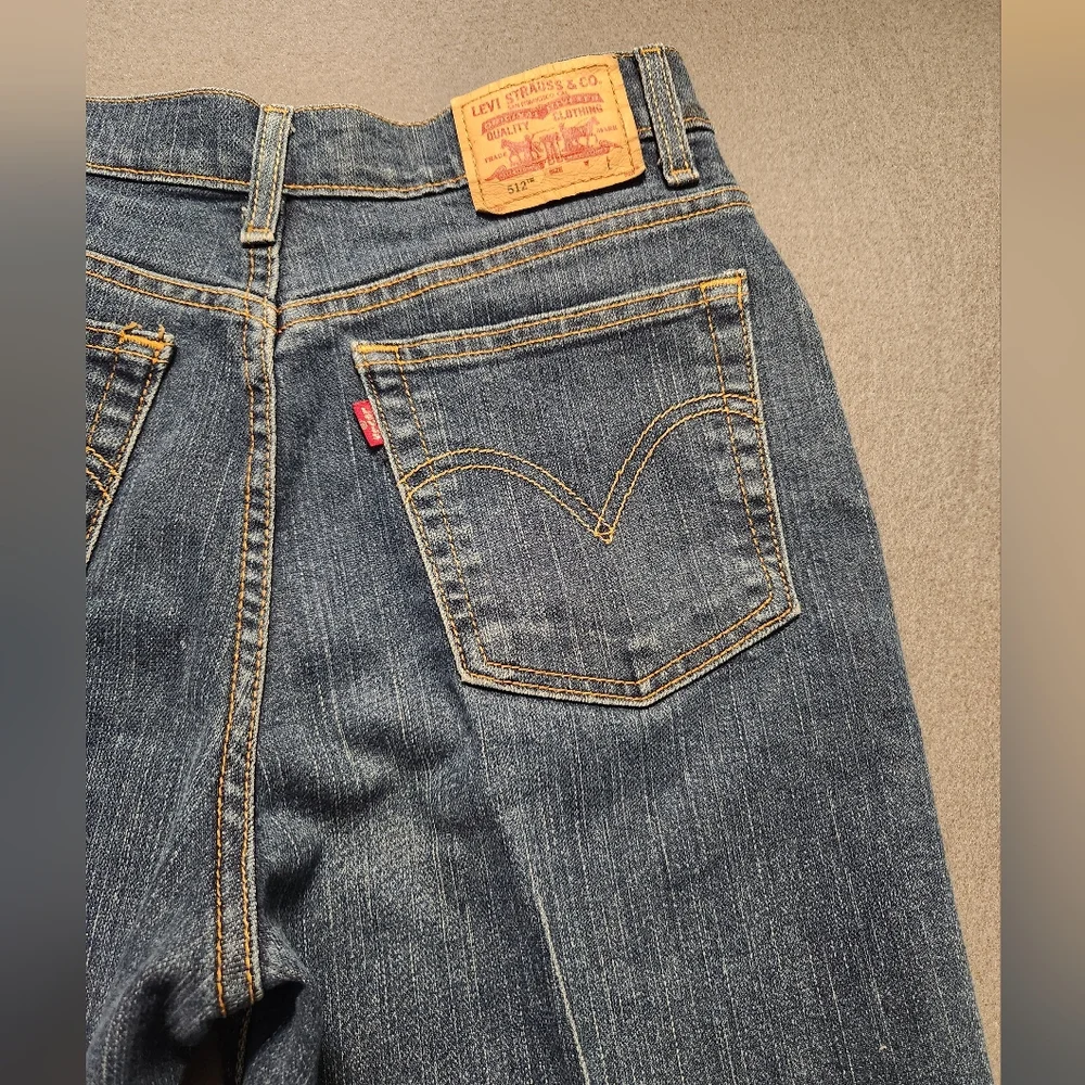 Levi Size 28x29 Blue